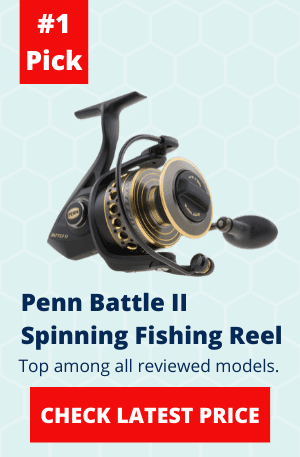 Penn Battle II